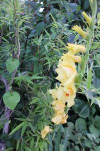 IMG_7463.jpg