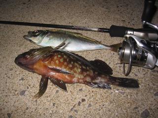 blog_11091901.jpg