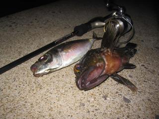 blog_11091902.jpg