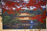 arekore 001