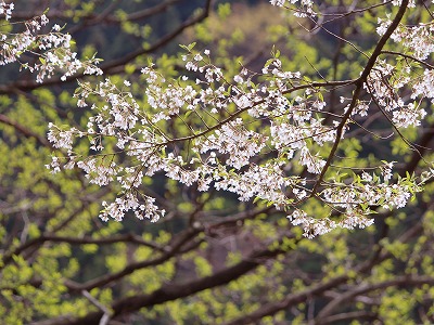 IMG_8688.jpg