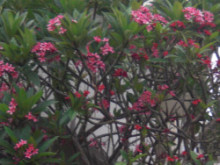 :::HAPPINESS:::愛と光の中で