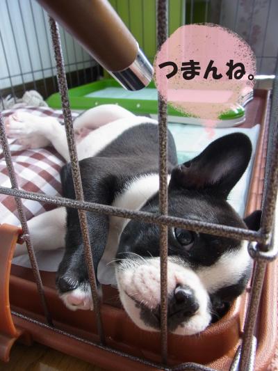 f009お_convert_20111122005119