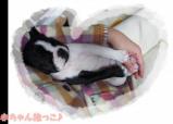 あ291_convert_20111202014232