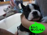 あ039_convert_20111205122250