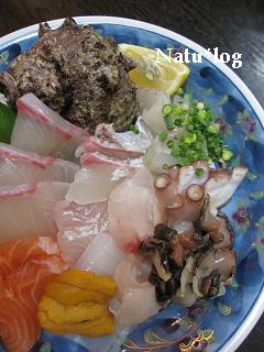 2006写真 1260