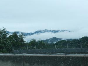 DSCN2361.jpg