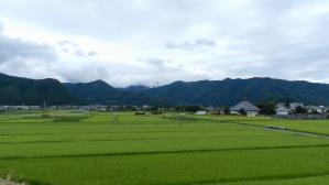 DSCN2382.jpg