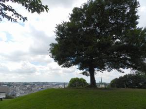 DSCN2689.jpg