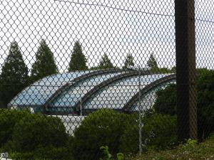 DSCN2693.jpg
