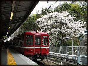 blog_import_4e3fa8a375bee.jpg