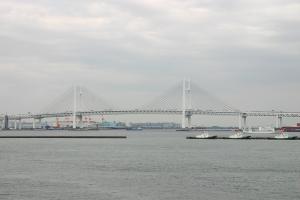 blog_import_4e3fa8c0d97c0.jpg