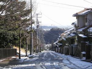 blog_import_4e3fa9aac9904.jpg