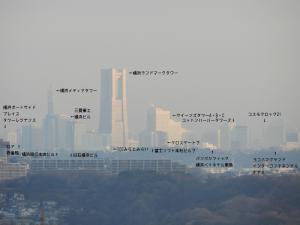 blog_import_4e3faa0dea56a.jpg