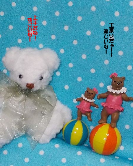 DSCN7882.jpg