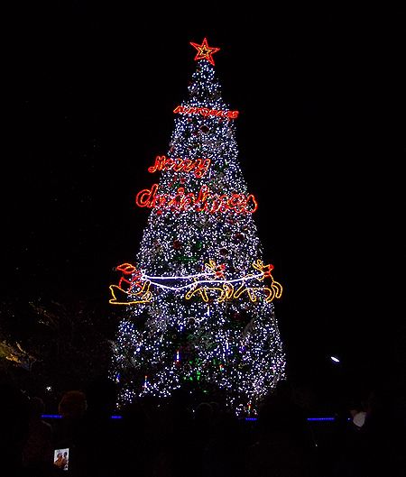 DSCN8063.jpg