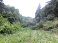 谷と草原