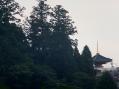 青葉山から見える竜宝寺