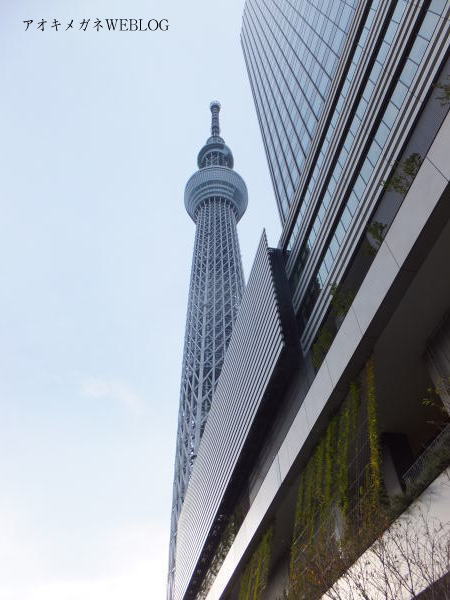 東京スカイツリー