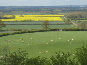 20120430_6