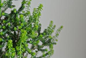 DSC_1837.jpg