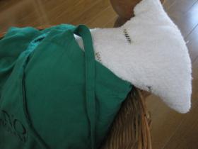 IMG_5632.jpg