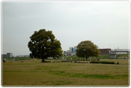 2012_0416kasenjiki0017.jpg