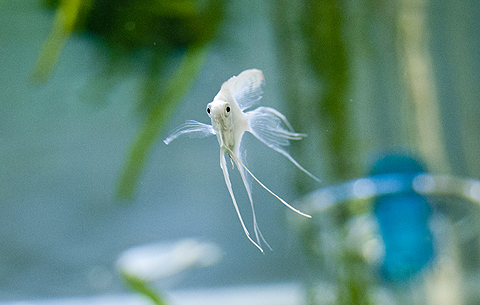195.jpg