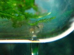 IMG_0202-s.jpg