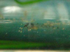 IMG_0204-s.jpg