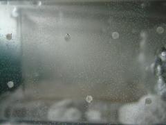 IMG_0208-s.jpg