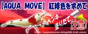 DIVAさんからの贈り物