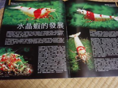 中国熱帯魚本1