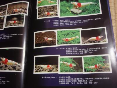 中国熱帯魚本3