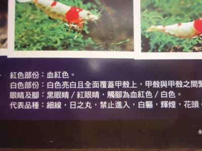 中国熱帯魚本5