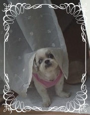 20100407.jpg