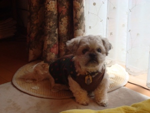 20131202UP (1)