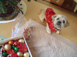 20131205UP (2)