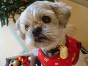 20131205UP (3)