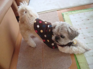 20131217UP (2)