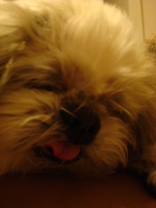 20131217UP (5)