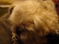 20131221 (12)