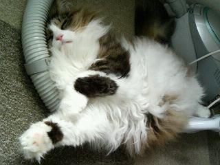200707251540000.jpg