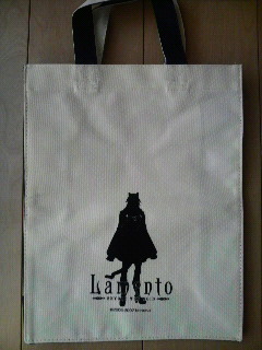 ビジュアルファンブックもちゃんと入るよ♪