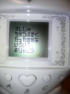 えっ…ちょ……まっ!!