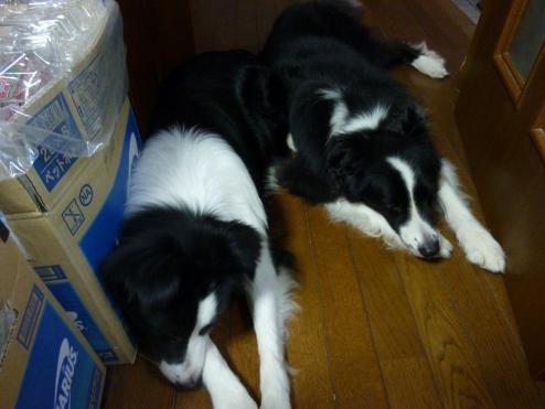 009_20110830215353.jpg