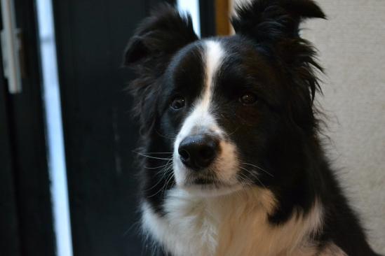 DSC_0026.jpg