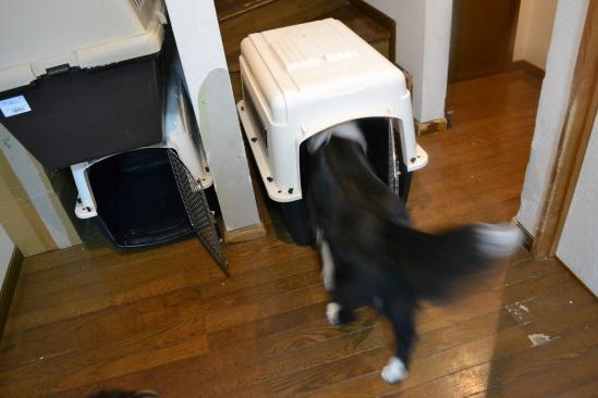 DSC_0032.jpg
