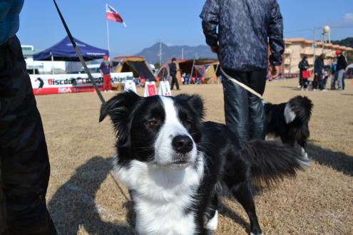 DSC_0304.jpg