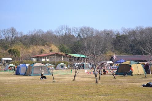 DSC_0343.jpg